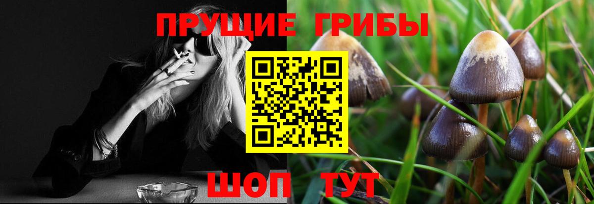 где купить наркоту  Вход с VPN  Псилоцибиновые грибы ЛСД  Кузнецк  Псилоцибиновые грибы MAGIC MUSHROOMS 